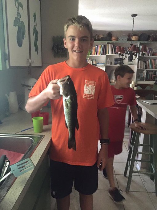 View image on Twitter View image on Twitter