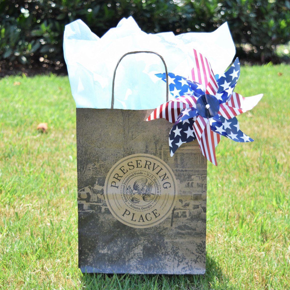 PreservingPlc's tweet photo. We brought our favorite #PreservingPlace picks along for a #FourthOfJuly picnic. Happy Independence Day! https://t.co/hX1XuUPbve