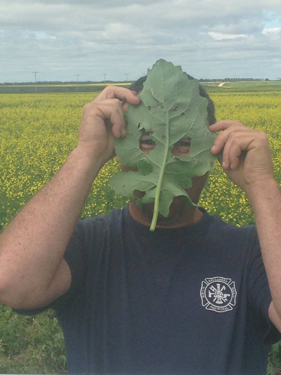 sjkfarms's tweet photo. No hail here https://t.co/TIq3DAwZbQ