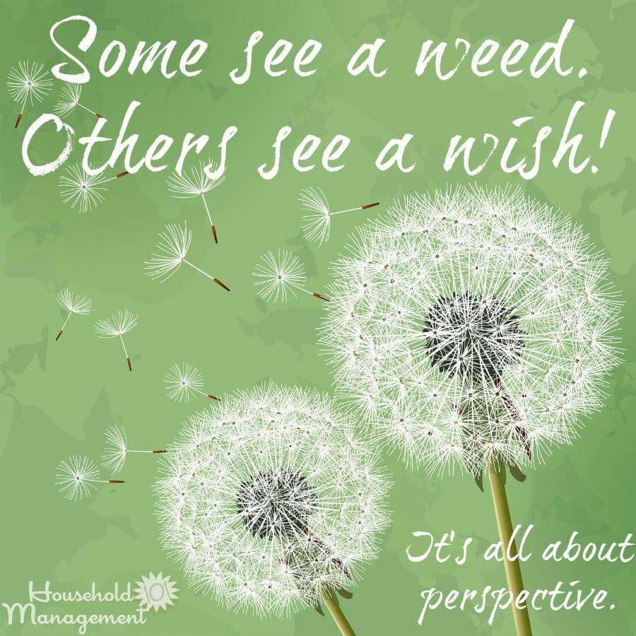 wrapsbyizzy's tweet photo. Monday perspective! https://t.co/SMJsgrpJcg