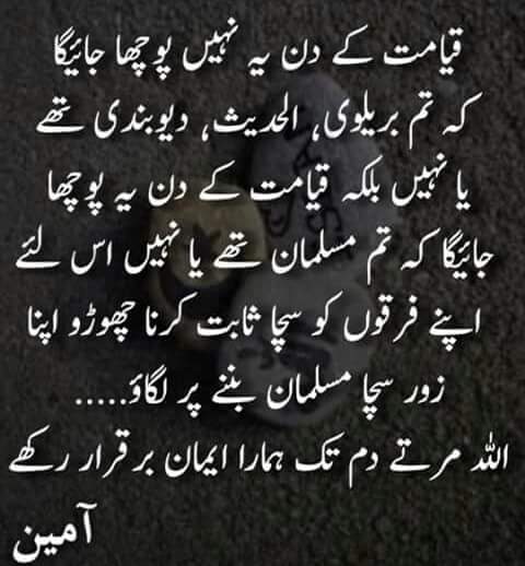 sadozaii_hamza's tweet photo. #islam #muslim #nosect https://t.co/nG0FAeNnwR