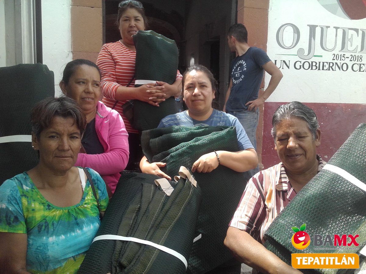 BamxTepatitlan's tweet photo. Seguimos entregando material a las familias para sus propios huertos en casa para su consumo. https://t.co/erCQuyGIcT