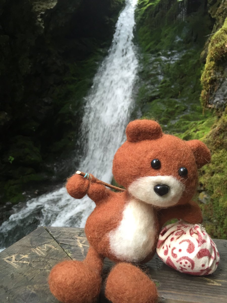 DianeDianeorb's tweet photo. #fuzzeez at Dickson Falls, Fundy National Park, NB @fuzzeez https://t.co/Ogjmb706F2