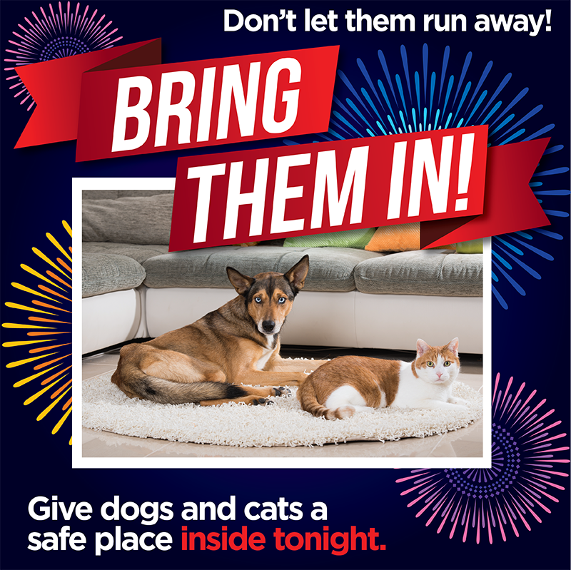 austinpetsalive's tweet photo. Bring Them In!!! Don't let your pets run away tonight. Give dogs and cats a safe place inside tonight! https://t.co/aQxhYIOINh