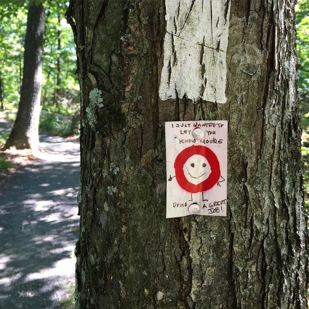 lawabr's tweet image. A little encouragement along the way. 💪🏼⭕️👍🏼 #appalachiantrail #trailmagic #streetart ift.tt/29qDcaD