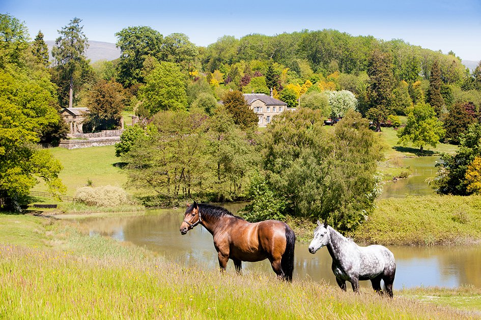 Stephen Garnett (@stephenjgarnett) on Twitter photo A pair #Horses relax besides the stunningly picturesque <a href="/conistonhotel/">The Coniston Hotel Country Estate & Spa</a>
<a href="/The_Dalesman/">The Yorkshire Dalesman magazine</a> <a href="/Welcome2Yorks/">Welcome to Yorkshire</a> #Lake #VIEWS A pair #Horses relax besides the stunningly picturesque <a href="/conistonhotel/">The Coniston Hotel Country Estate & Spa</a>
<a href="/The_Dalesman/">The Yorkshire Dalesman magazine</a> <a href="/Welcome2Yorks/">Welcome to Yorkshire</a> #Lake #VIEWS