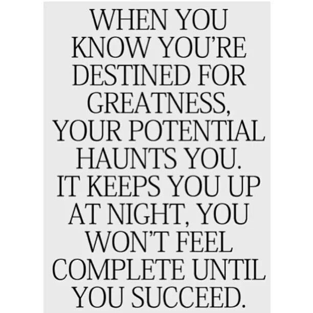 imcalledstu's tweet image. 