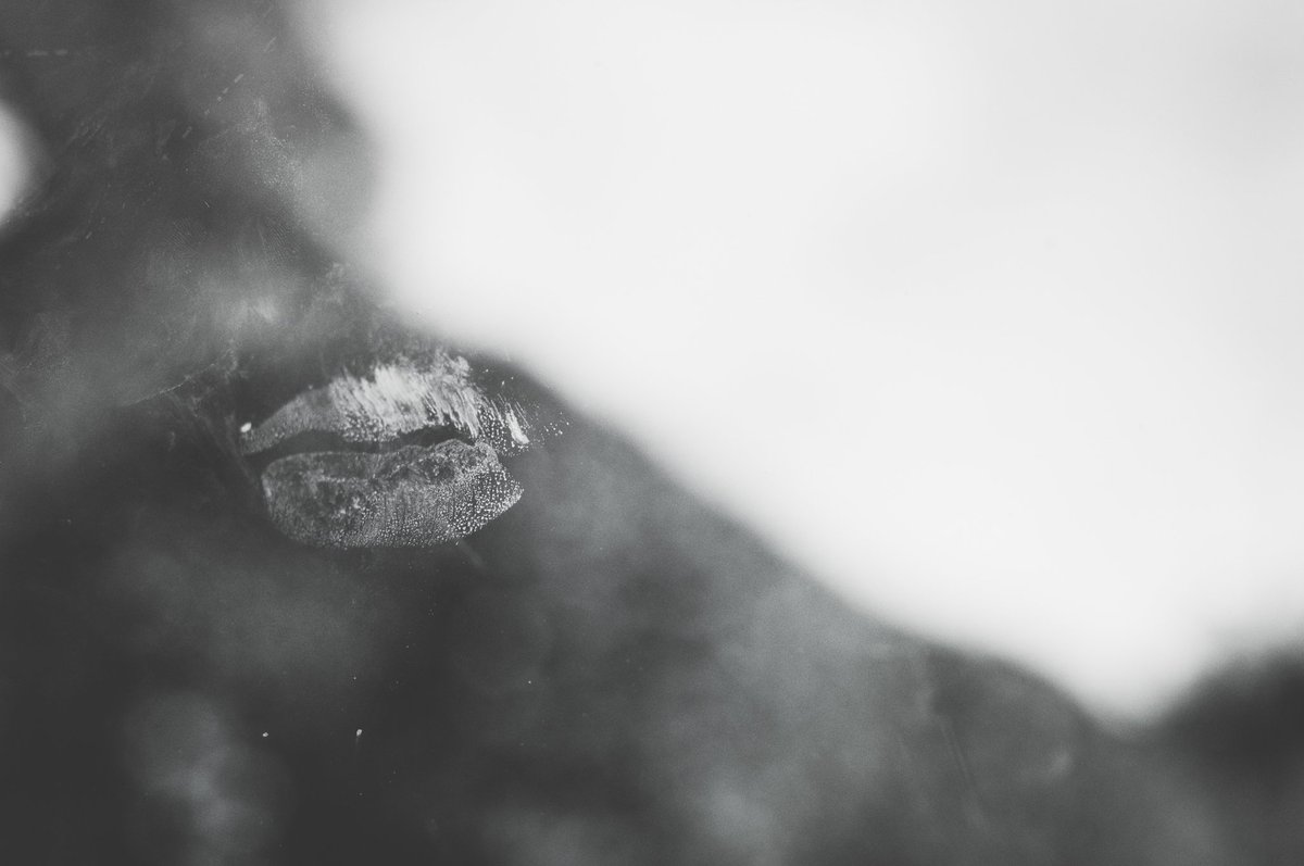 One day, my windows will be clean again and I'm going to miss those lips . . . #everyday #lovedirtywindows
