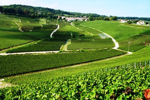 #UNESCO : 1 an déjà ! Rdv dimanche à Hautvillers pour la Marche des #Réconciliations. urlz.fr/3OFA   ©DR