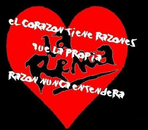 MyrianCardoso2's tweet photo. https://t.co/vlGkHJkFan