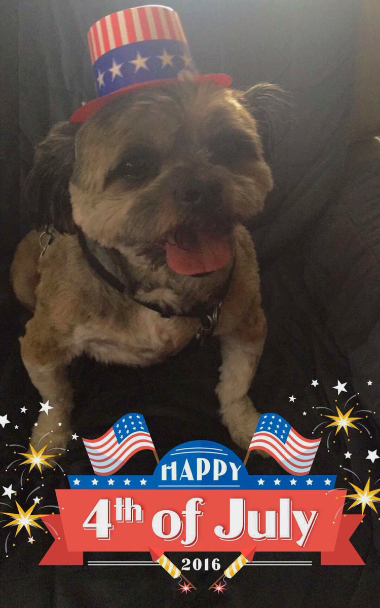 RileyClancy's tweet photo. 🇺🇸🇺🇸 Happy Independence Day 🇺🇸🇺🇸 https://t.co/cnnUbuTn7z