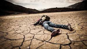 janiceballan's tweet image. Fascinating deep thoughts. #SocietalSurvival #Depression #DistortedReality 
janiceballantine.com/2016/07/04/soc…