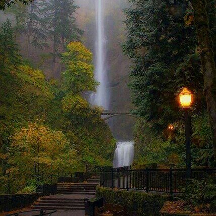kentkristensen1's tweet photo. Oregon west coast
America
Stunning nature
Great people
#nature #kentkristensen
#art #nativeindians
#SaveUoN 🐝🌹 https://t.co/PU5rOWtiP9