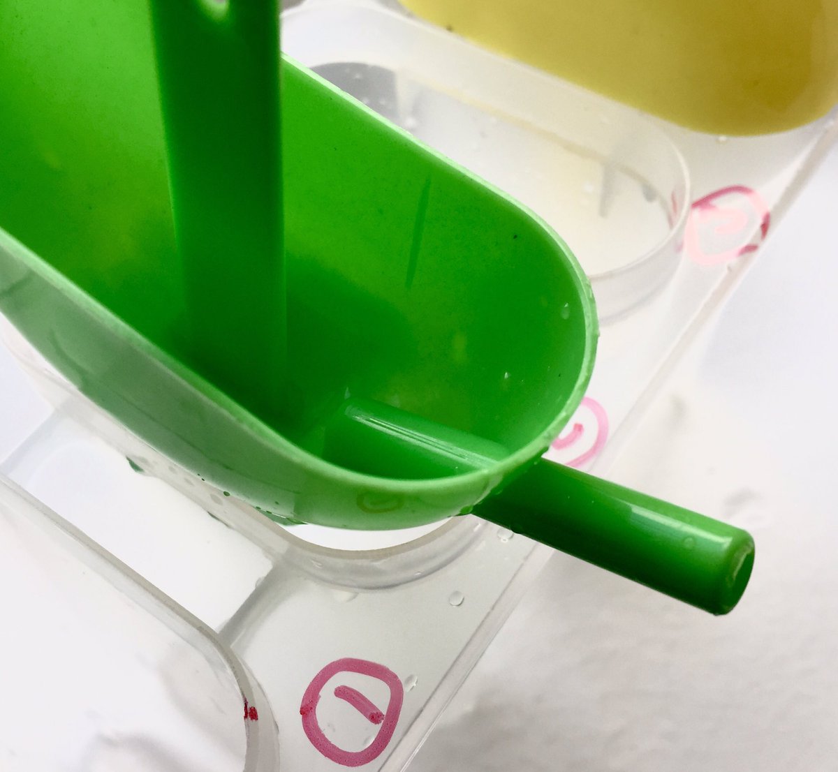 Bia_agus_deoch's tweet photo. Picked these up in #Deliaskitchen shop #cork The icepop holder has a built in straw for the melted pop. Great ideaππ https://t.co/WzWdq9QgAL