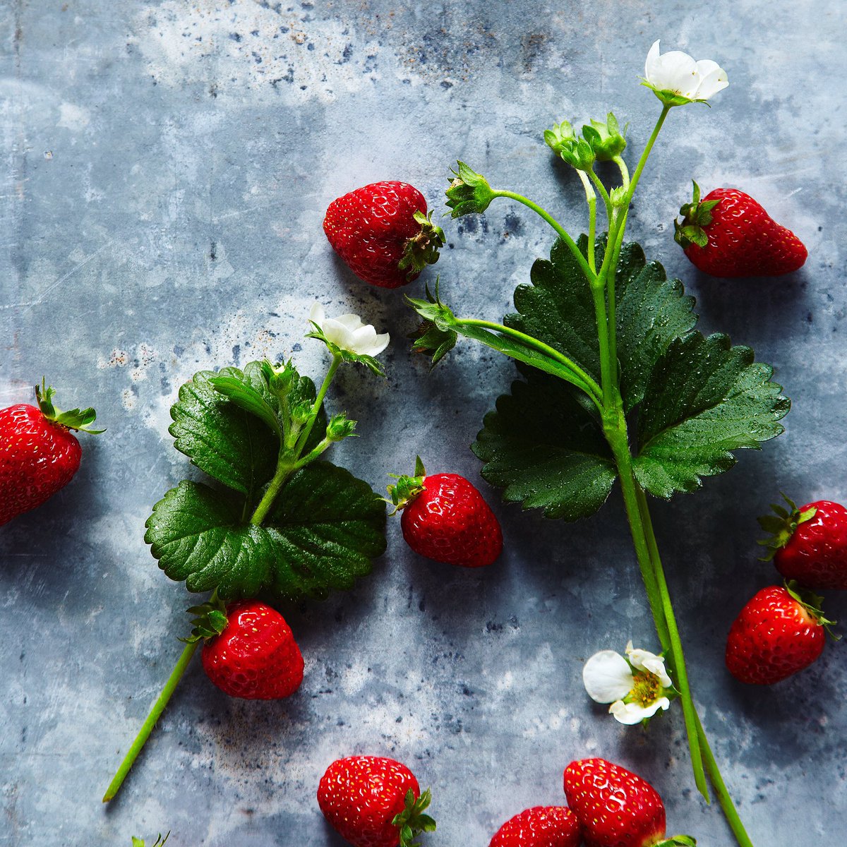 From a series on fresh produce. Lucky to work with the talented <a href="/nicole_m_young/">Nicole Young</a> on food &amp; <a href="/still/">matt</a>.lifepropson props