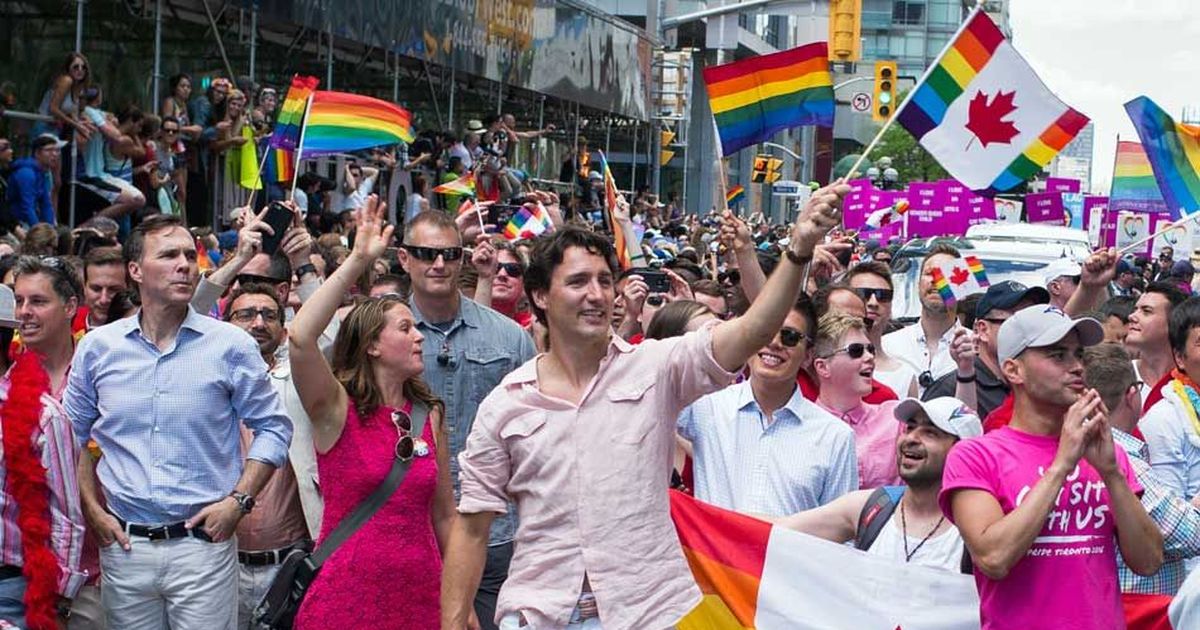 Katja B.-Dobie tweet media