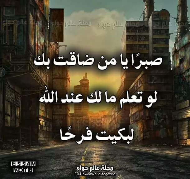 ali.alex7 (@alialex_7) on Twitter photo 