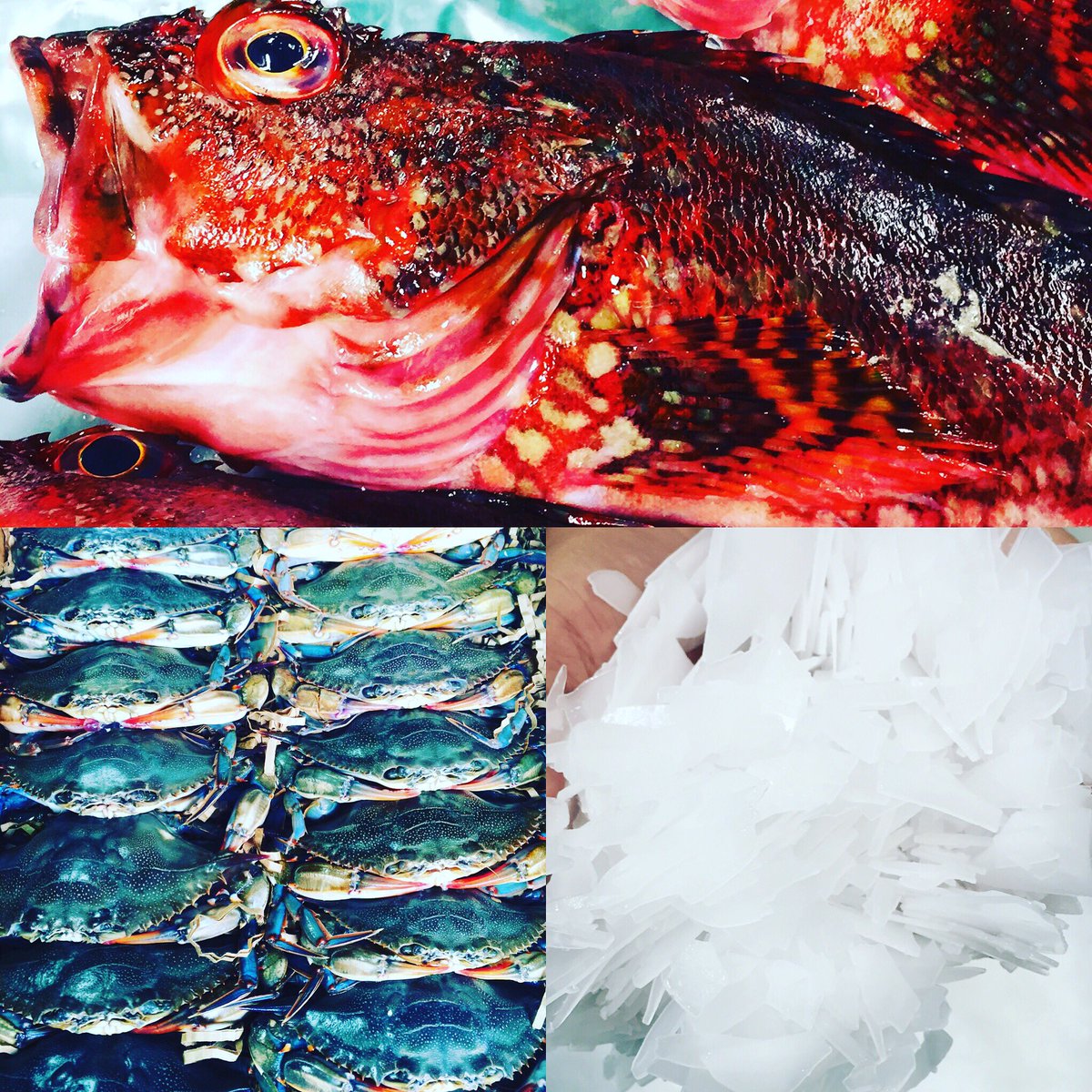 LUXESeafood's tweet photo. #happy4th everyone! https://t.co/QPiNWg7qSR