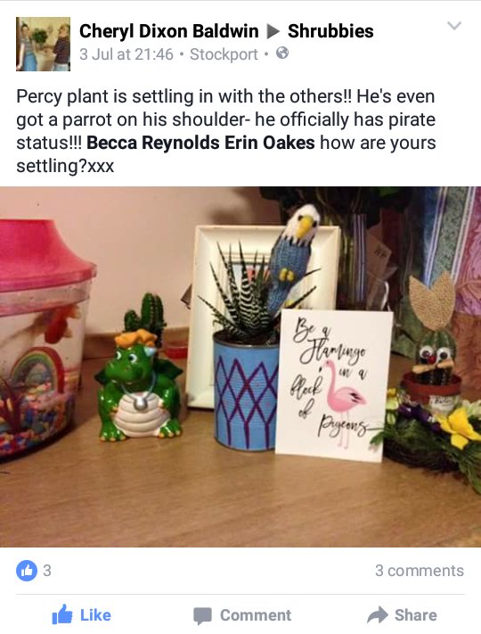 shrubbiesplants's tweet photo. Love seeing the plants in their new homes! 🏡🌿 @_makersmarket #Eccles &amp; #northernquarter this weekend, come see us! https://t.co/KaYxQXi0cY