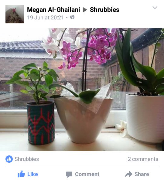 shrubbiesplants's tweet photo. Love seeing the plants in their new homes! 🏡🌿 @_makersmarket #Eccles &amp; #northernquarter this weekend, come see us! https://t.co/KaYxQXi0cY
