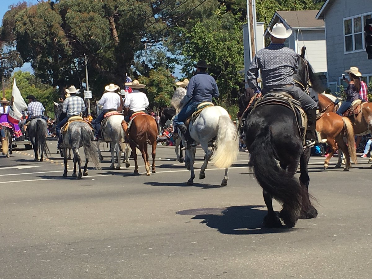Sikh riders for america and cabelleros on dancing horses. So much hope for my country today. Happy 4th.