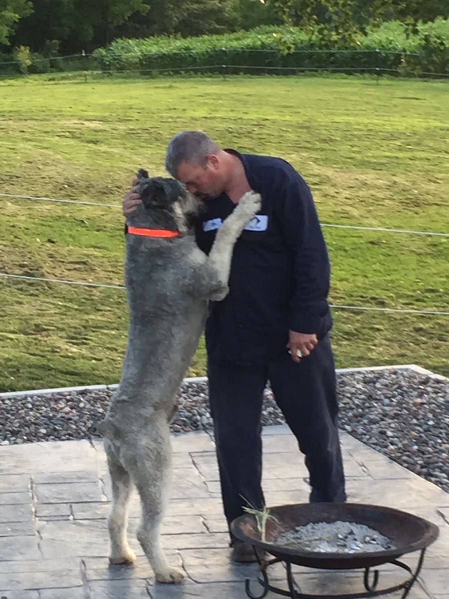RhoniHartsock's tweet photo. #daddy'sboy #love #devotion #bouvier https://t.co/VXNkcafrjI
