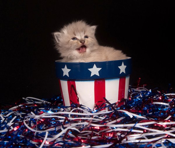 @ItsMeTheRunner  @therunnergo90 #TheRunner #TheRunnerSweepstakes  happy 4th july!!!!!!!!!!!!!!!!!!!!<a class="tags" target="_blank" title="On Twitter" href="/?out=eyJ0eXAiOiJKV1QiLCJhbGciOiJIUzUxMiJ9.eyJpYXQiOjE3MjY0OTg2MjgsImlzcyI6InR3cG9ybnN0YXJzLmNvbSIsIm5iZiI6MTcyNjQ5ODYyOCwiZXhwIjoxNzU4MDM0NjI4LCJyZWRpcmVjdF91cmwiOiJodHRwczovL3R3aXR0ZXIuY29tL0l0c01lVGhlUnVubmVyIn0.IWJ0NlUr-GEuFOtigGDPq9dgO3anr0oU_A8UB9XOHPogE6z7hzooy3Fb3_vftsAMD_cVWYzR07u3i37A1_Ks9Q">@ItsMeTheRunner</a><a class="tags" target="_blank" title="On Twitter" href="/?out=eyJ0eXAiOiJKV1QiLCJhbGciOiJIUzUxMiJ9.eyJpYXQiOjE3MjY0OTg2MjgsImlzcyI6InR3cG9ybnN0YXJzLmNvbSIsIm5iZiI6MTcyNjQ5ODYyOCwiZXhwIjoxNzU4MDM0NjI4LCJyZWRpcmVjdF91cmwiOiJodHRwczovL3R3aXR0ZXIuY29tL3RoZXJ1bm5lcmdvOTAifQ.jqoyqifwvlOBG41TyAQbpmcRtZJ1lYi-W27scbr2Y9YiTj-dva0jxJHNHwB-DyLmuR00r1w46RtvdQJzjAOO7w">@therunnergo90</a><a href="/tag/therunner"class="tags">#TheRunner</a><a href="/tag/therunnersweepstakes"class="tags">#TheRunnerSweepstakes</a>