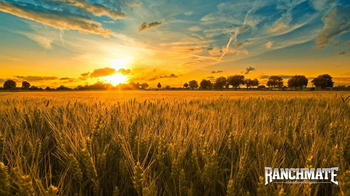 Ranchmate's tweet photo. Farmers are at the doorstep to America the beautiful. Happy 4th of July! #FourthofJuly https://t.co/UBmDAsSbze