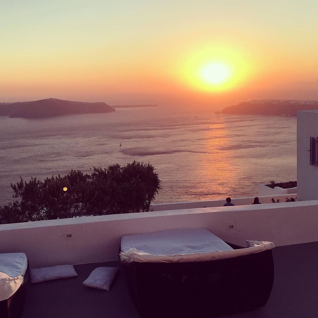 Alexander tweet media