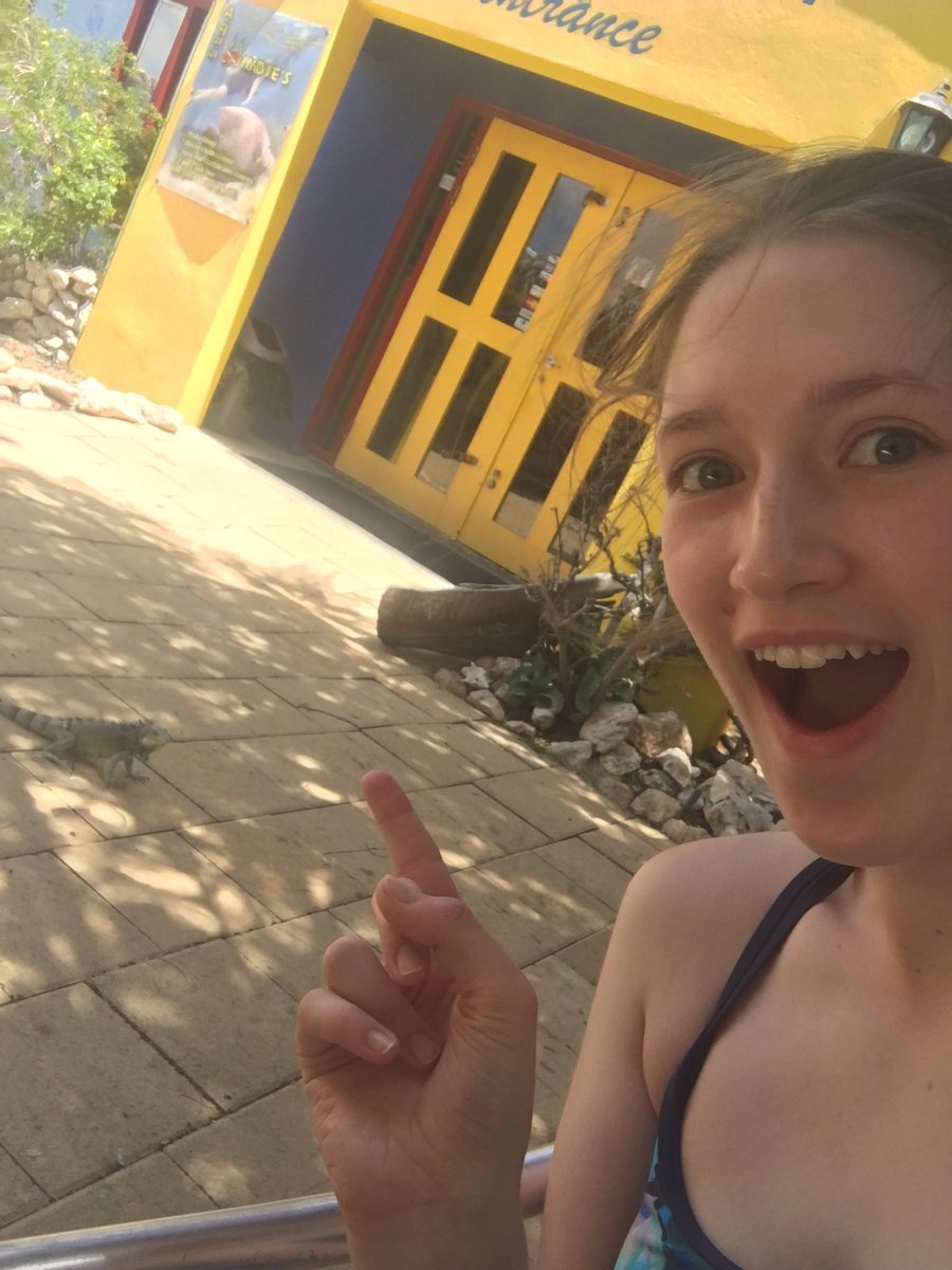 papillon_delune's tweet photo. Casually chilling with an iguana....like WHAAAT!!!! #totallyunreal #butitsthecaribbean #theyreEVERYWHERE https://t.co/5R0t6Q4YuB