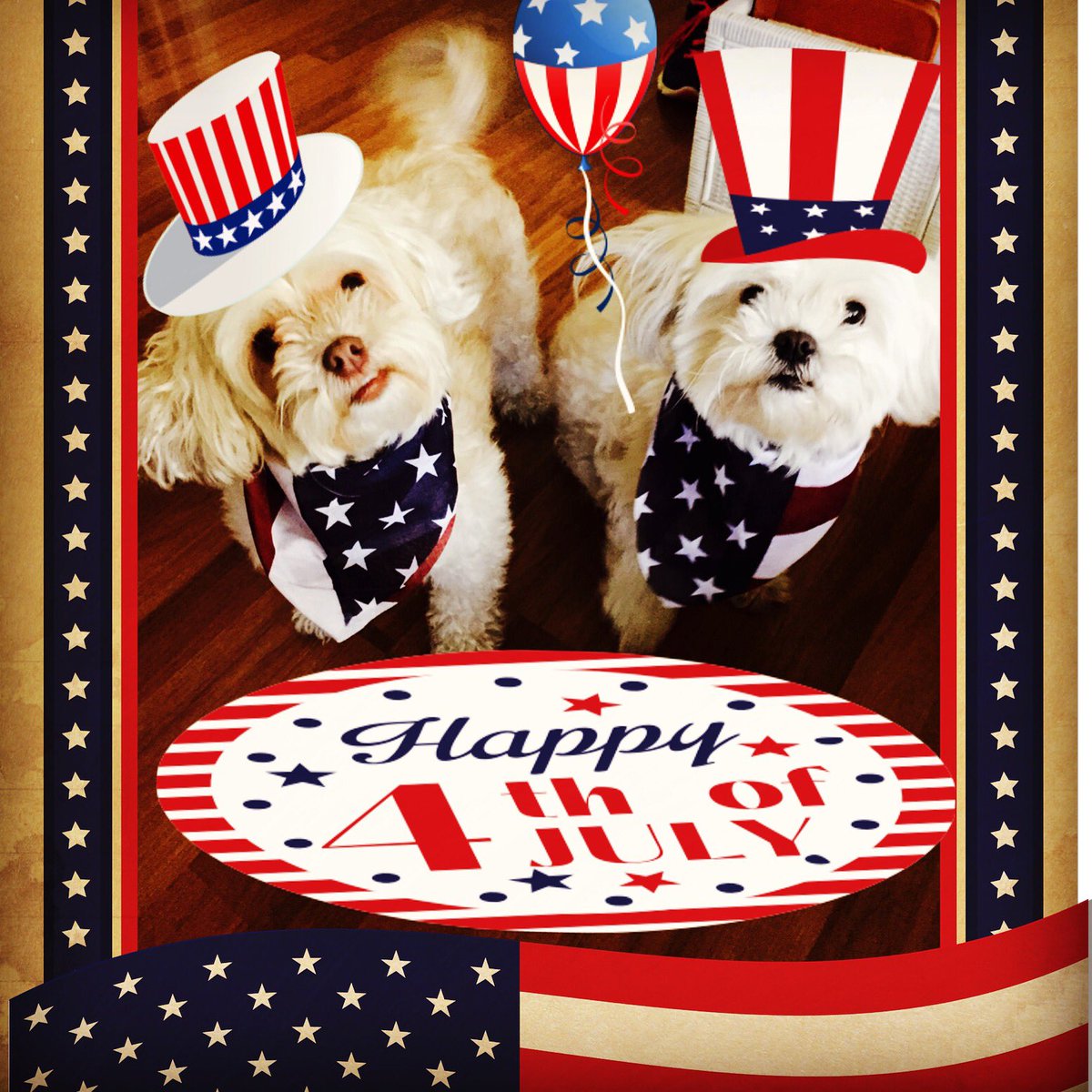 CBibiyan's tweet image. 