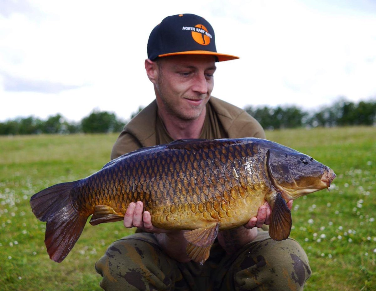fbowling281's tweet photo. #OldEnglishStunner #RPG #NorthEastBaits #Qualitybaitsmoretakes @NorthEastBaits https://t.co/YZvUJBposq
