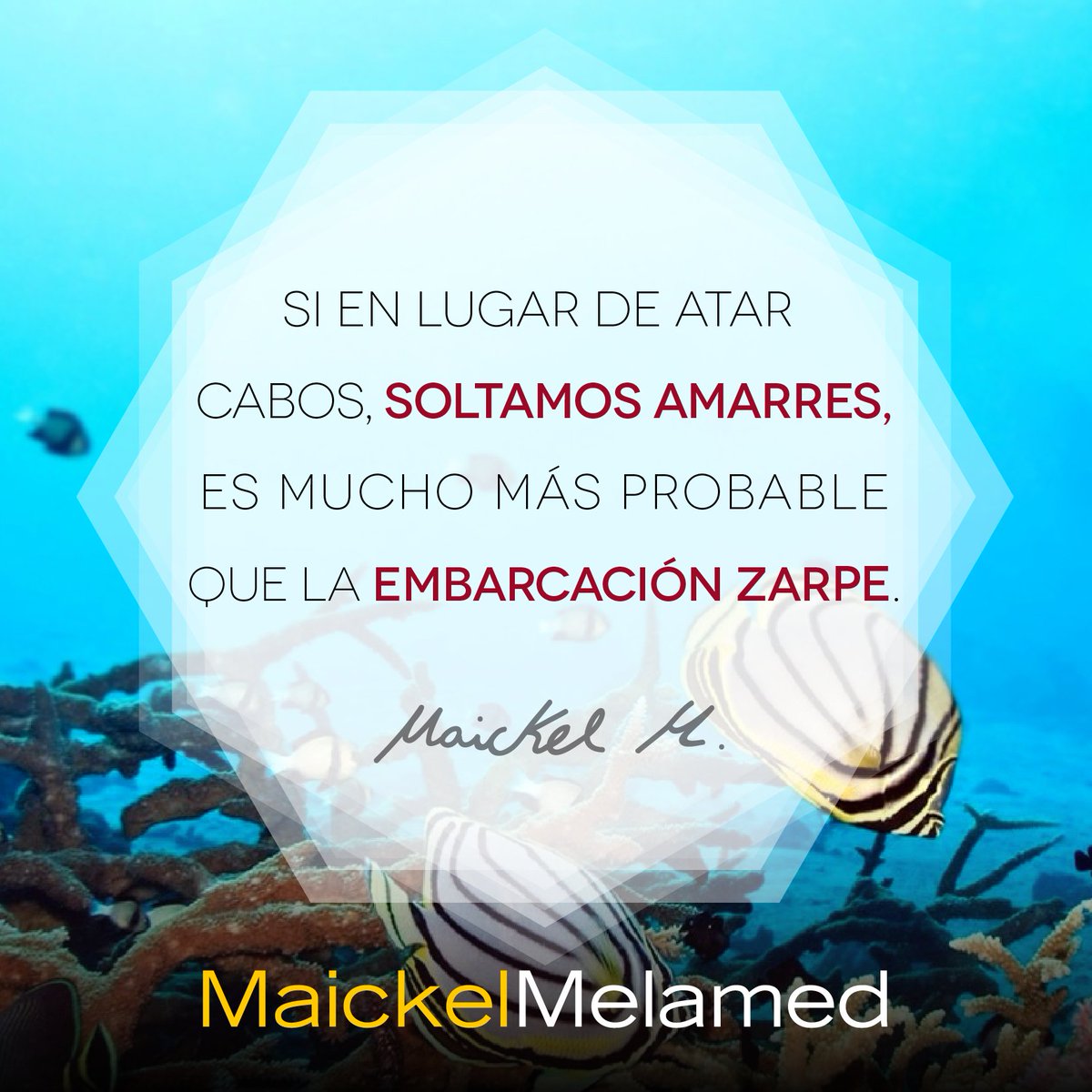 Maickel Melamed tweet media
