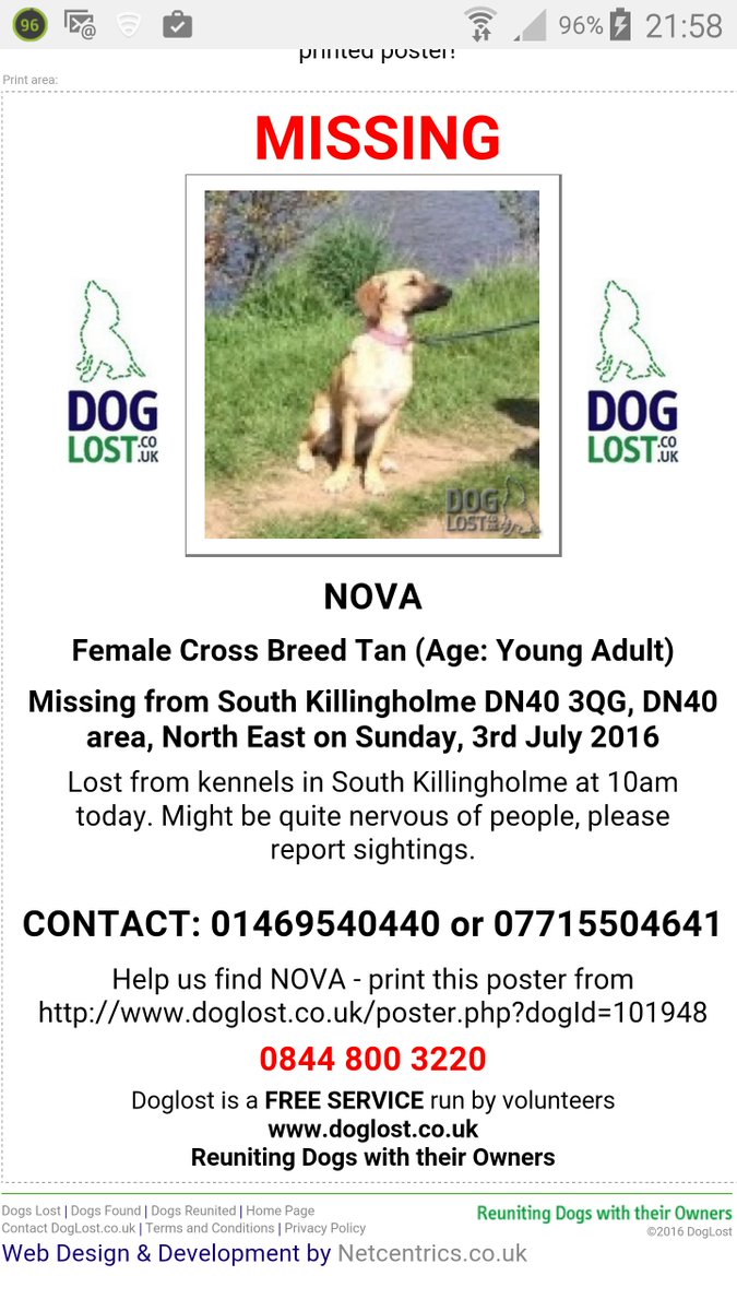 Sightings to @DoglostUK
MISSING YOUNG X Breed Female in South Killingholme, #Lincolnshire goo.gl/YpK1QJ
