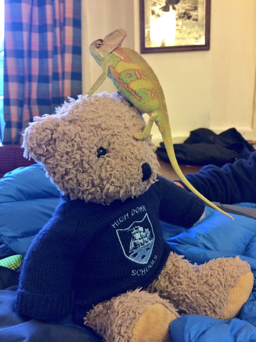 HighDownSchools's tweet photo. Junior was very brave too... #HDJ6 https://t.co/bSiHway0fL