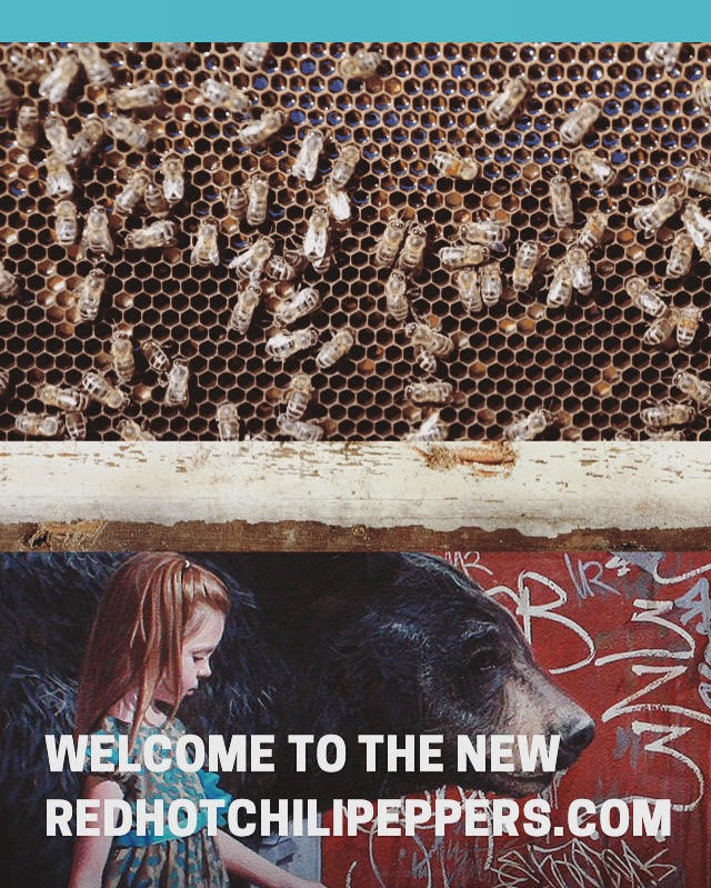 GTTFBeeCo's tweet photo. How COOL is the new @ChiliPeppers website?! We hear they're #beeadvocates which makes us love them even more! #rhcp https://t.co/2Hddq01Q0d