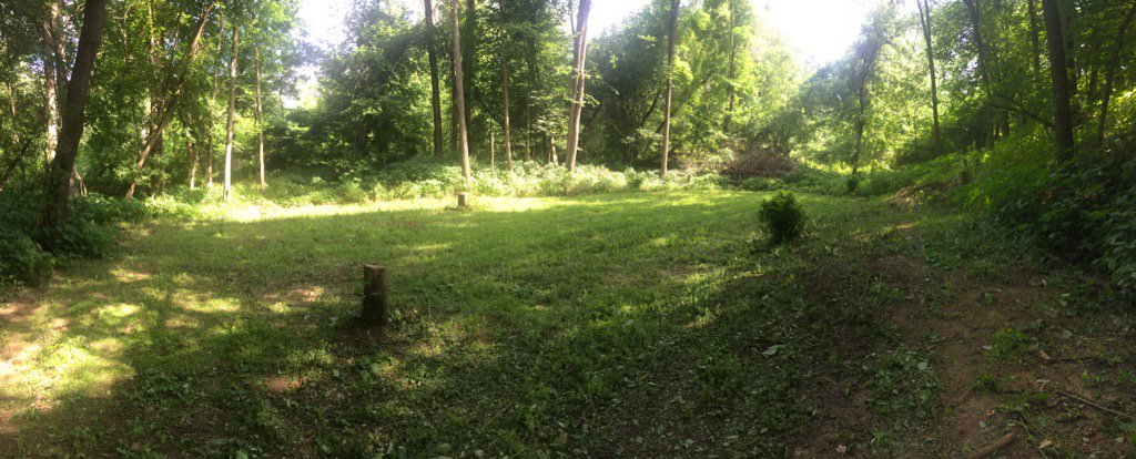 PremiumPlots's tweet photo. Another #killplot mowed and prepped for #BigNBessty from #frigidforage #whitetails #hunting #foodotlife #deer https://t.co/c3wDg5AjI5