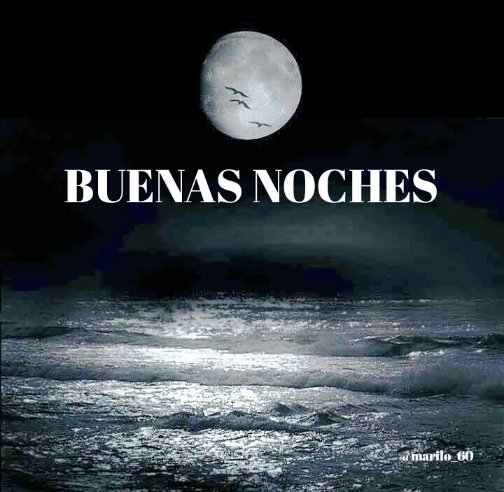 MARILOSEGARRA tweet media
