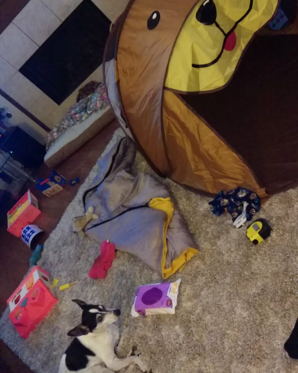 LuciHasFun's tweet photo. Well no shit, it opens on its own. How do I fold it back into the tiny bag?! #giveup  #setsonfire https://t.co/heQmBRqkQT