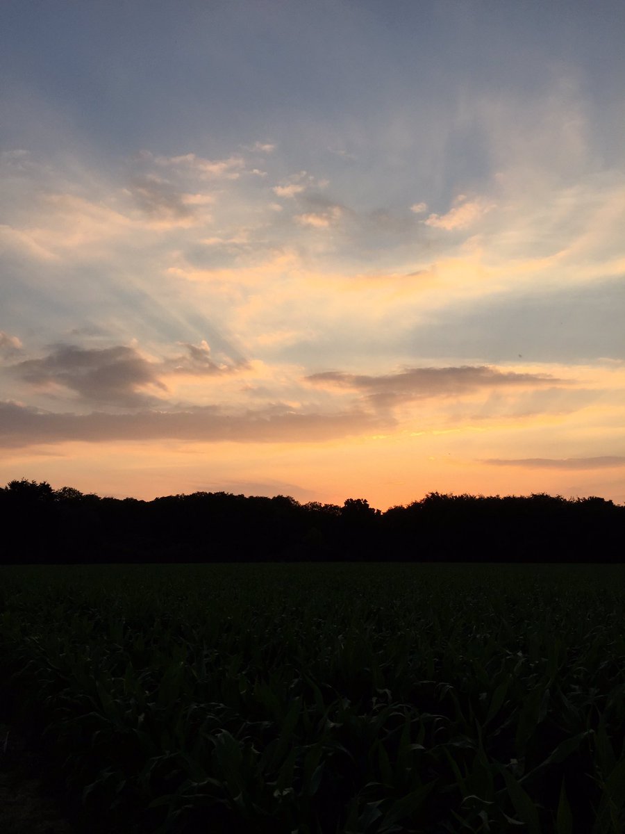 hansvdlinden's tweet photo. Laat rondje Corversbos, 's-Graveland, Loosdrecht, Kortenhoef, Bantam: @waarneming @mooiewolken @GemeenteHsum https://t.co/42IBZWmtlk
