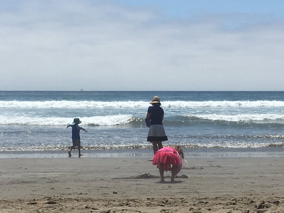 phazlehurst's tweet image. Happy Fourth of July. From the beach.  Where everyone should be. #usexit