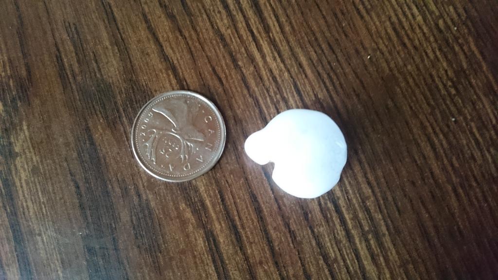 lberin's tweet photo. Quarter sized hail on #HeclaIsland #MBStorm https://t.co/7hJH9cukW7