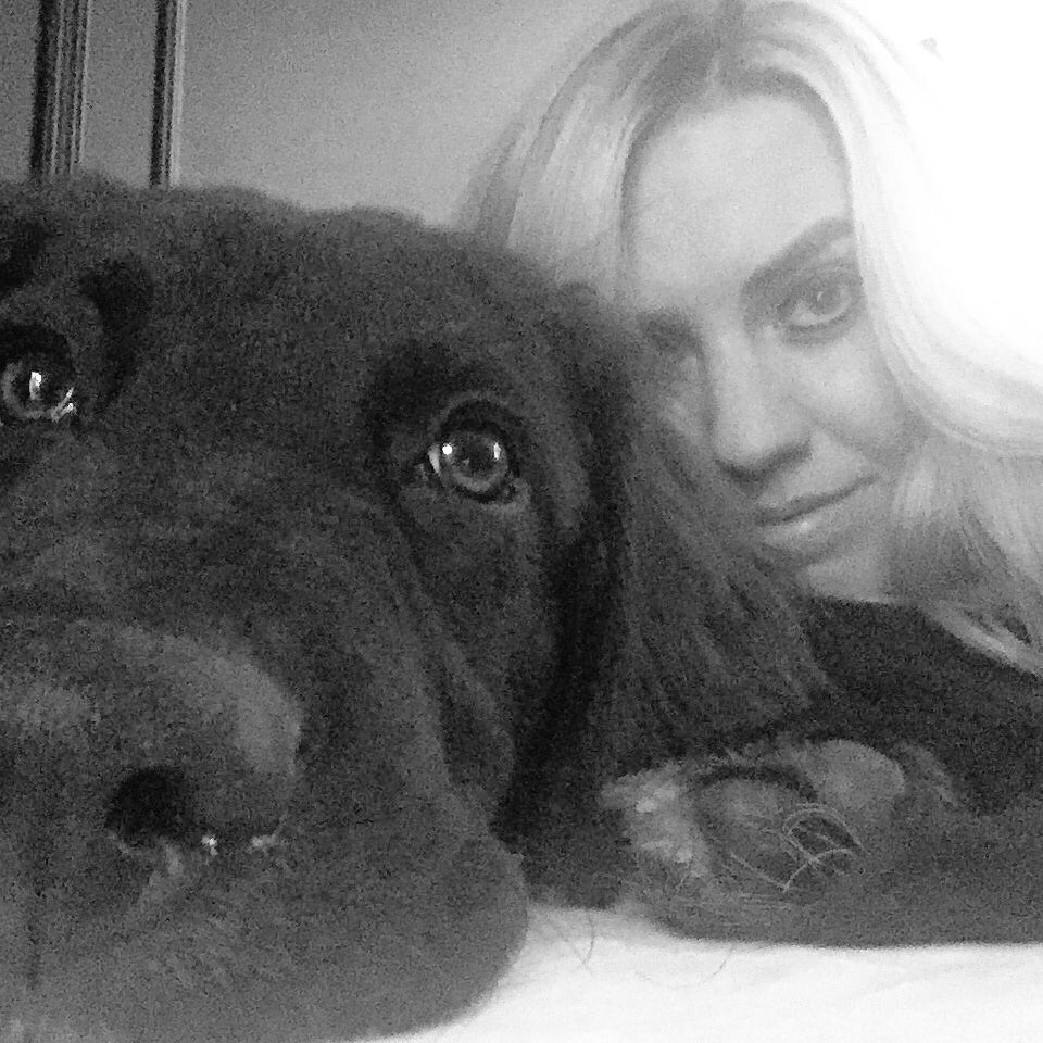 Mark_JamesDesign (@Mark_Ruzicka) | Twitter