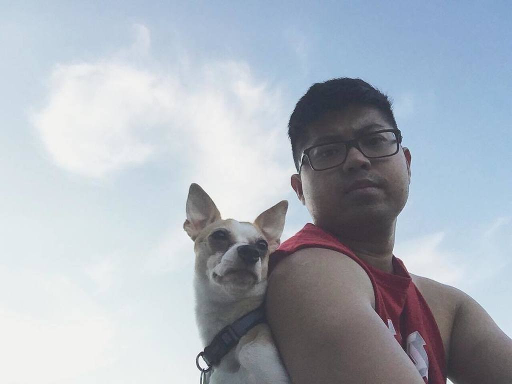 jemelagulto's tweet photo. 🇺🇸🇺🇸🇺🇸 #HappyIndependenceDay #HappyJuly4th #ActingAgulto #AgulToGo #Dog #Dogs #DogsOfInsta… https://t.co/rob5sKnvaQ https://t.co/2d2M8kuv2e