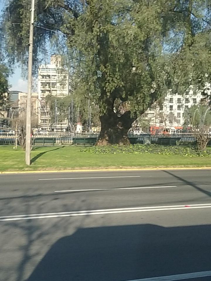 AmasViajar's tweet photo. Seguimos recorriendo #SantiagoDeChile #destinodelmes #turismochile https://t.co/Js68ggvgCN
