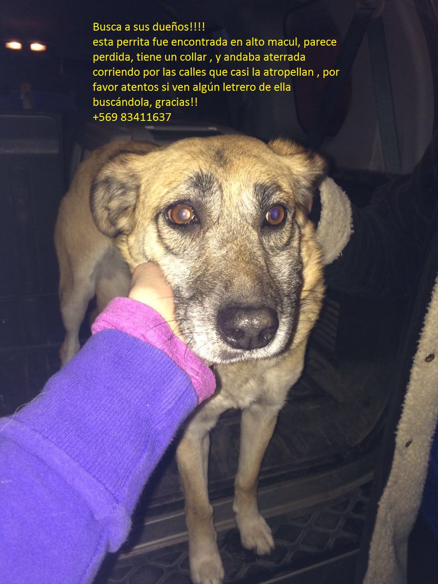 encontrada en alto macul, busca a su familia