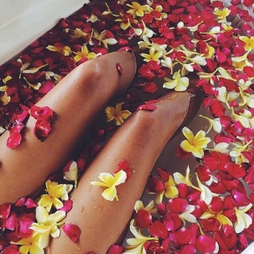 lifechooses's tweet photo. ✧choose one✧ https://t.co/POmjZGXkXL