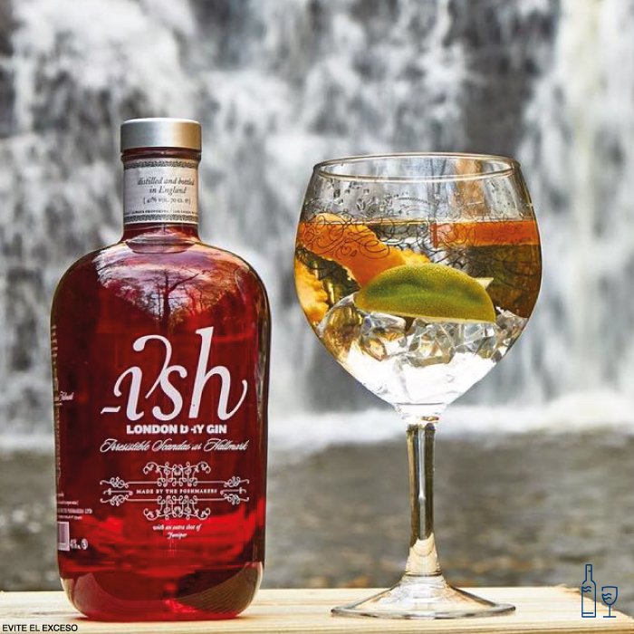 ¡No se pueden perder uno de los 3 #GinTourLaEuropea que @LaEuropeaMexico ha diseñado! laeuropea.com.mx/gintonic/