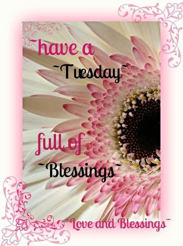 Krob0967's tweet photo. @sampoppy71 Good Morning, Sam😊 https://t.co/FNEG3R7oba