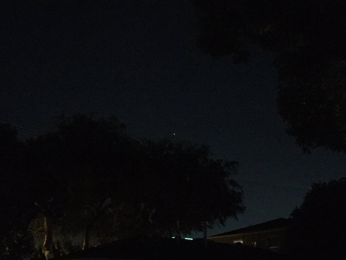 Picture of night sky and tree and tiny white dot that is Jupiter